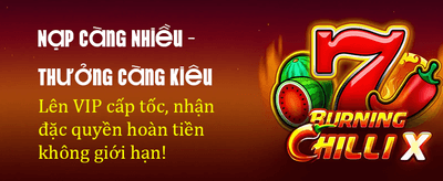 Ưu đãi hấp dẫn mỗi ngày